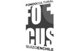 fondo-cultural-suizo-chile