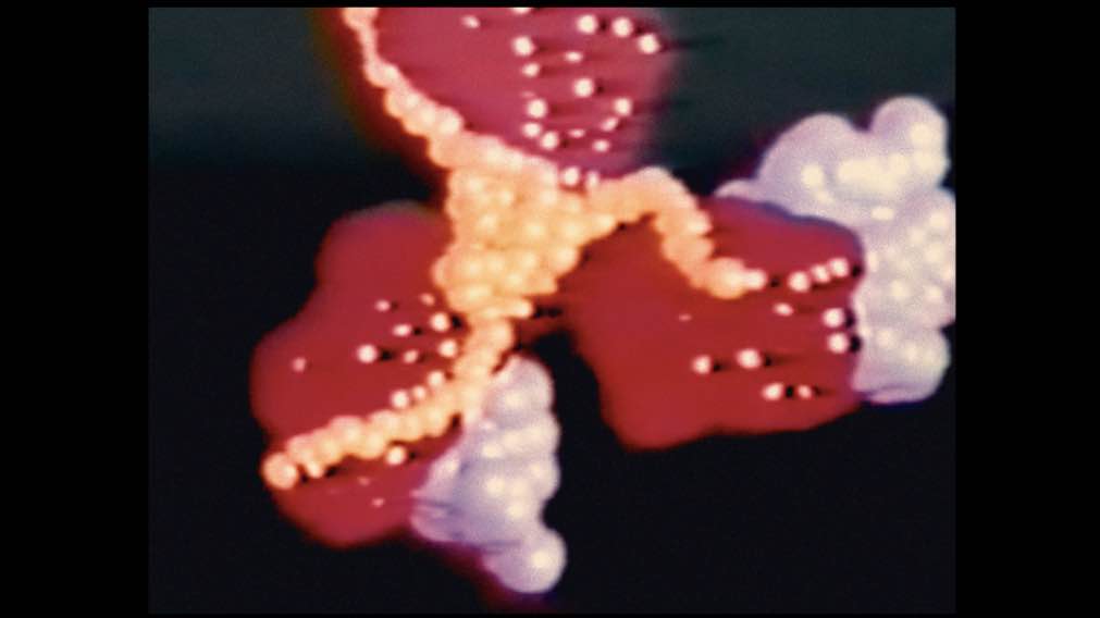 Captura de Pantalla 2026-04-03 a la(s) 18.48.51_2_11zon