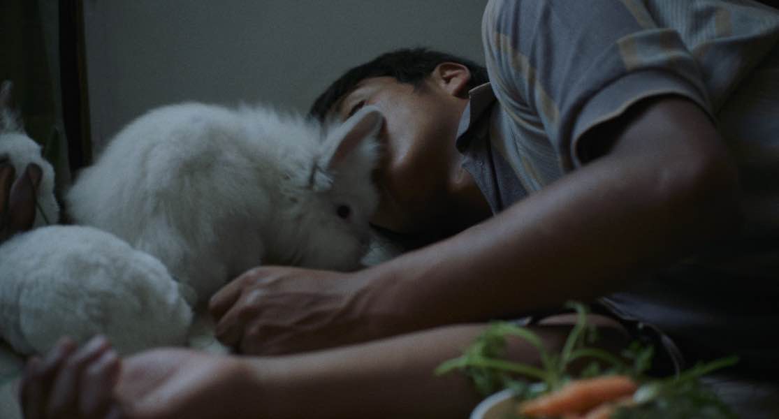 Captura de Pantalla 2026-04-07 a la(s) 01.01.43_2_11zon