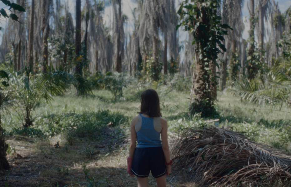 Captura de Pantalla 2026-04-12 a la(s) 00.01.37_2_11zon