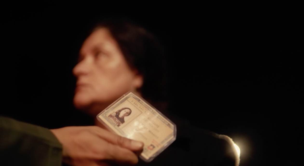 Luz pinochet 3_3_11zon