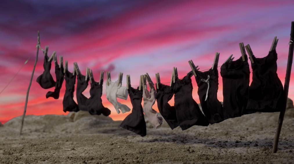 Reinas de la pampa 3