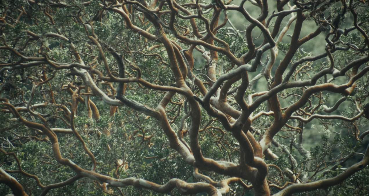 por las noches 1_1_11zon