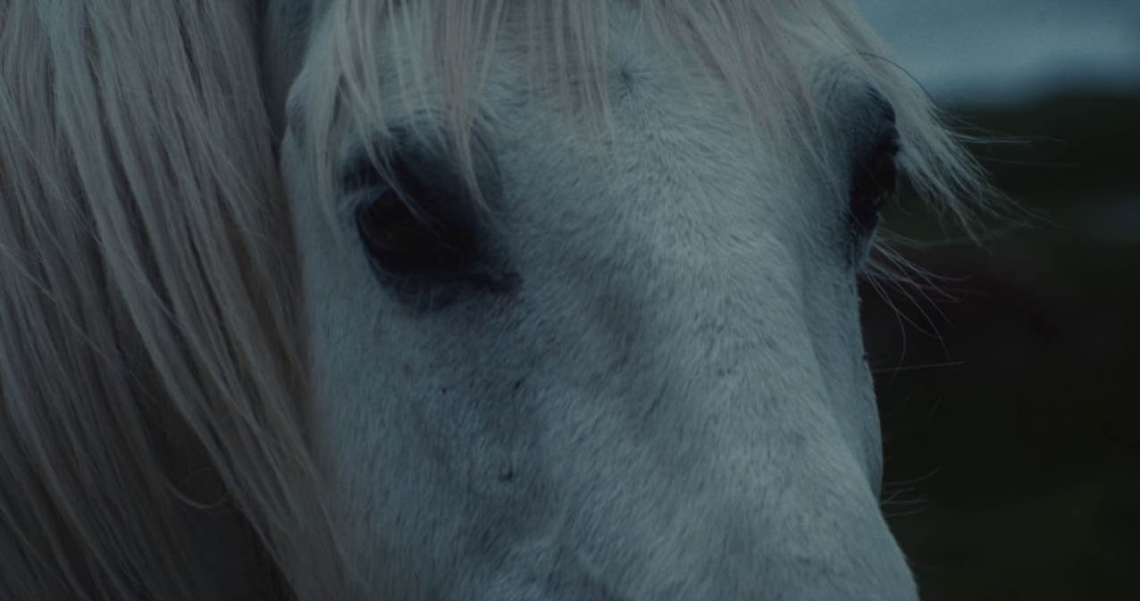 por las noches 2_2_11zon